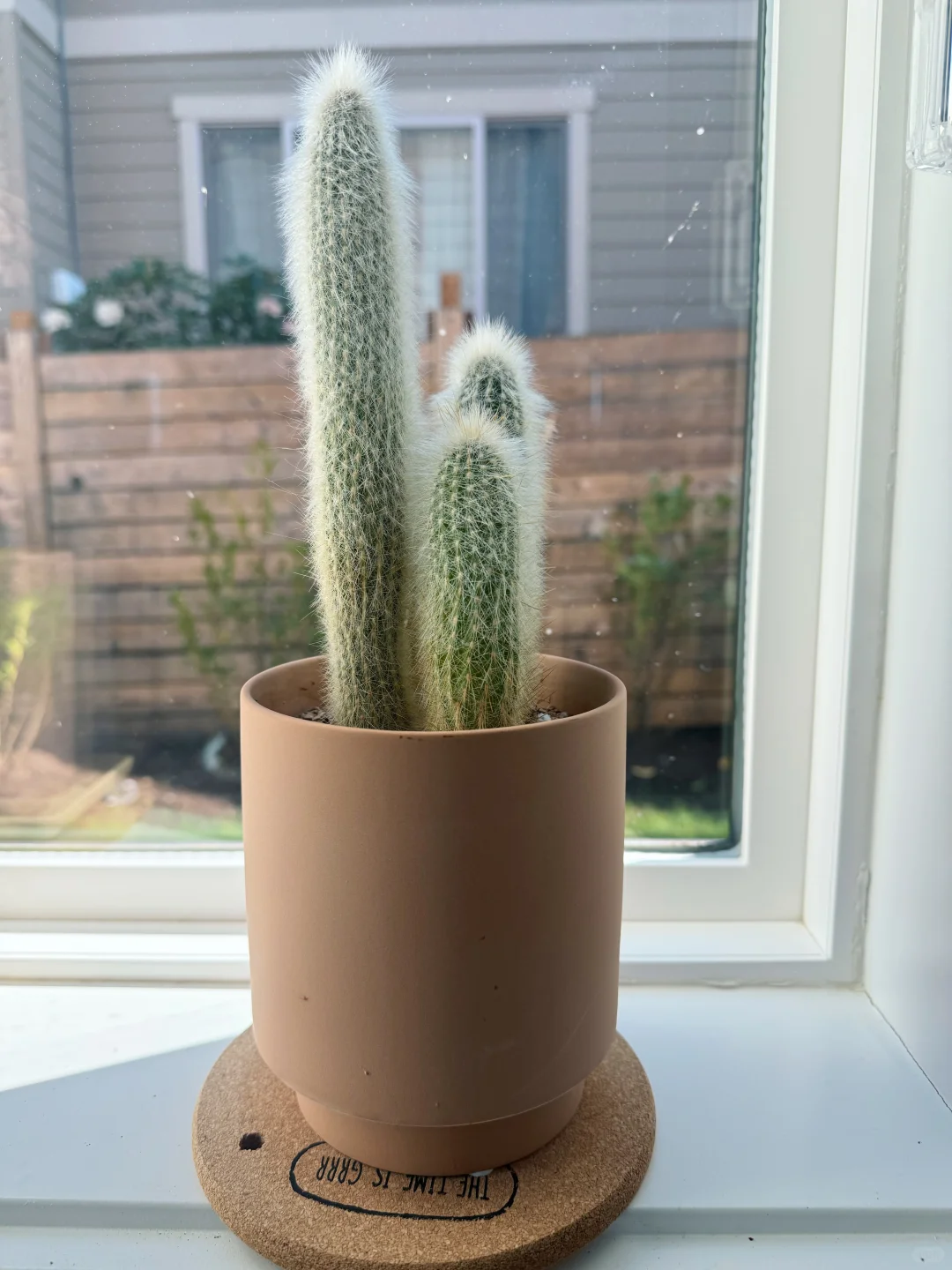 西雅图生活/绿植小白进阶路上的必备神器