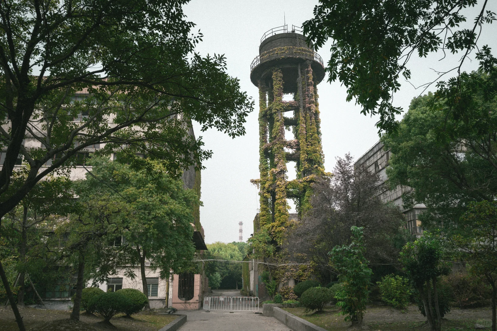 残骸与新生，大自然改造了废弃工厂