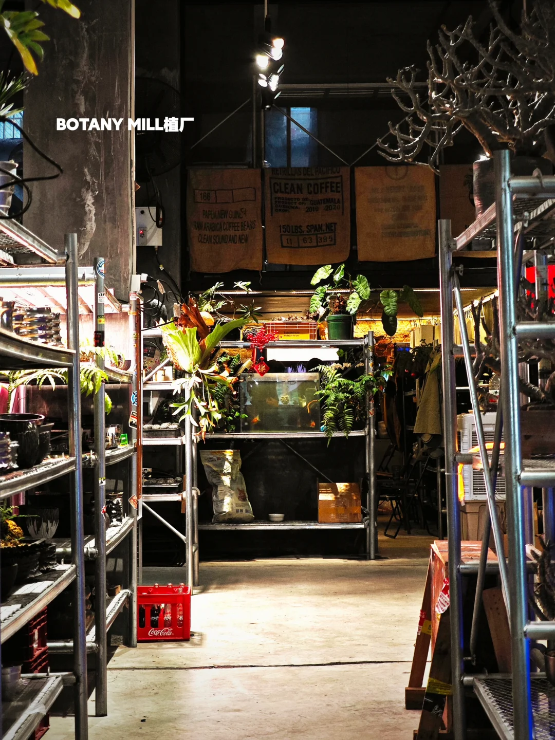 植物买手店和植物加工厂