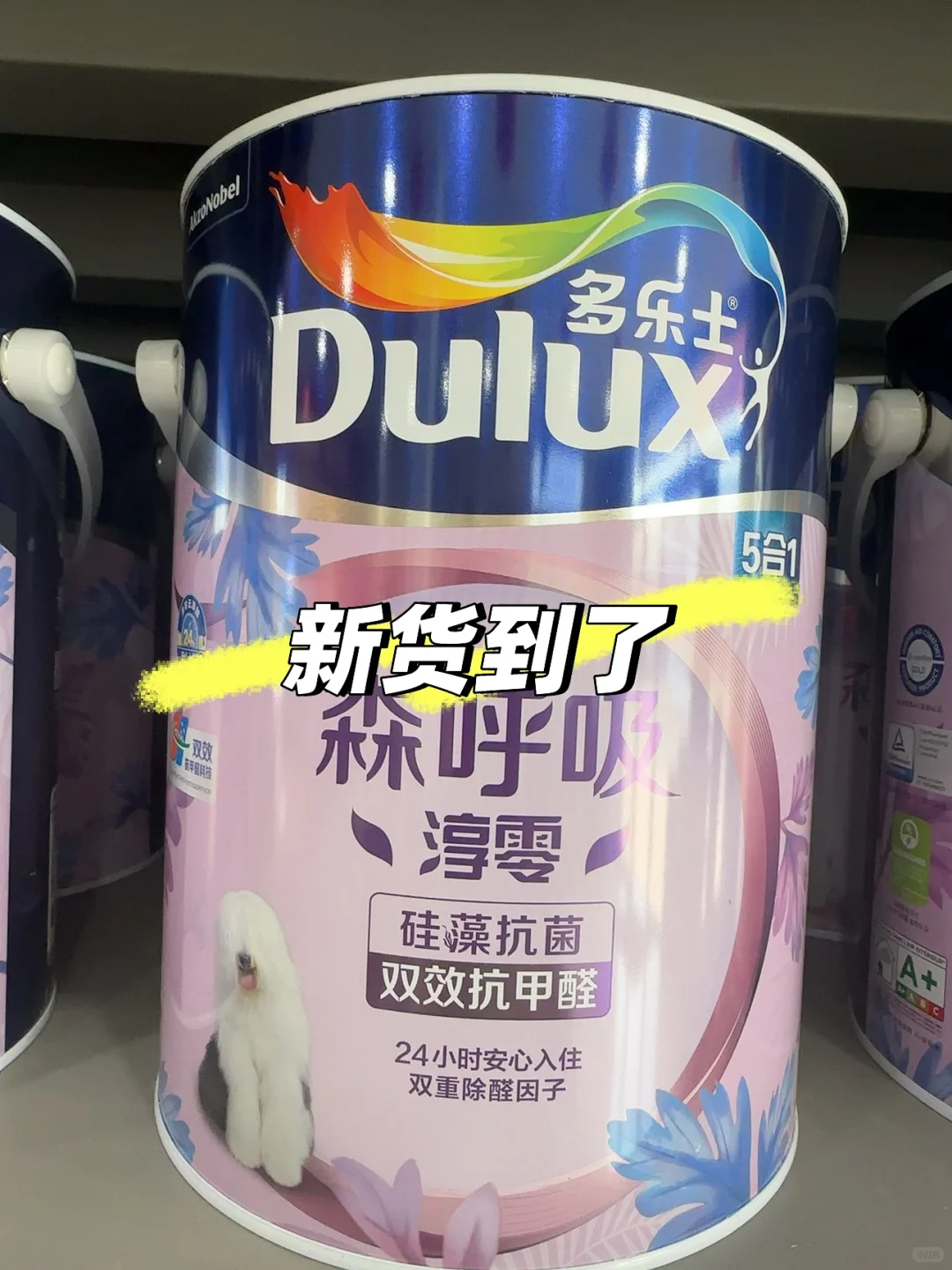 森呼吸淳零：硅藻抗菌双效抗甲醛