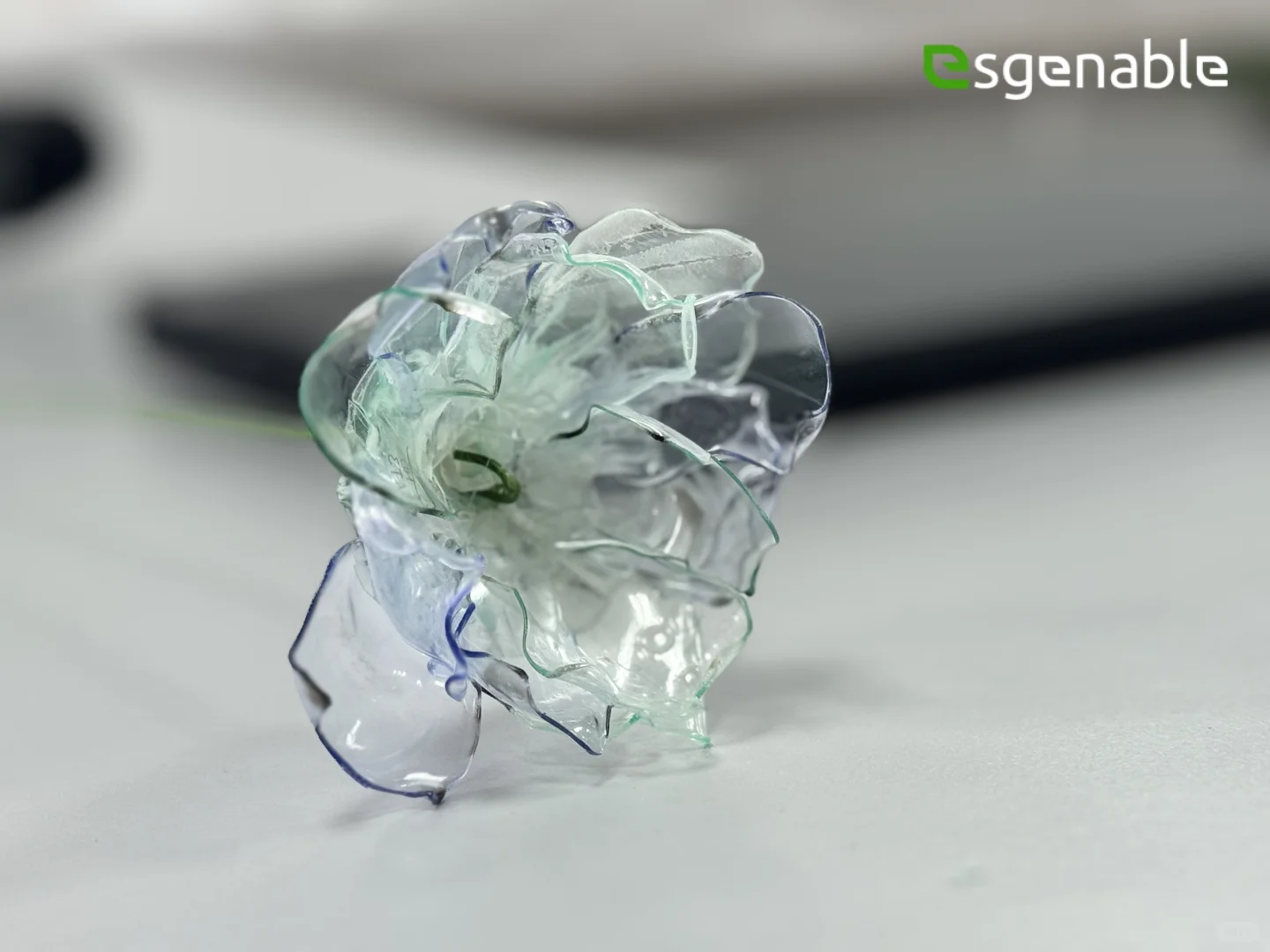 可持续环保工作坊|赋能行业协会可持续发展