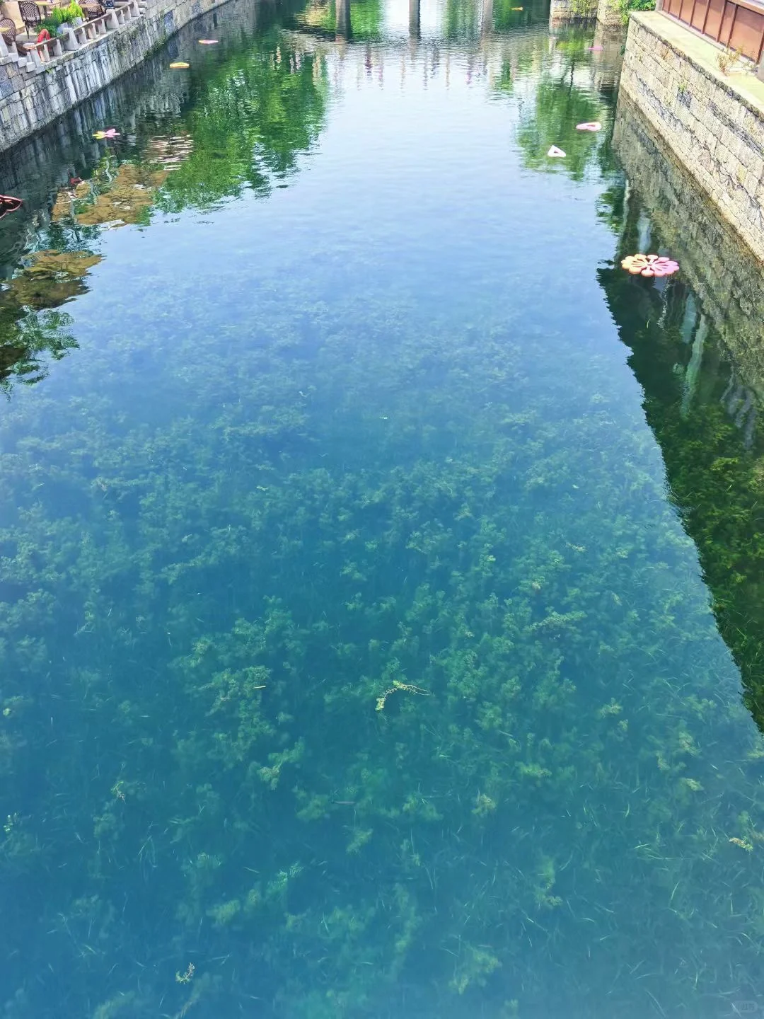 live｜无滤镜江南果冻河，有“科技”也有狠活！