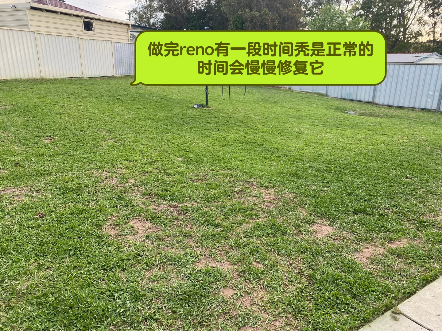 草坪修复与补给