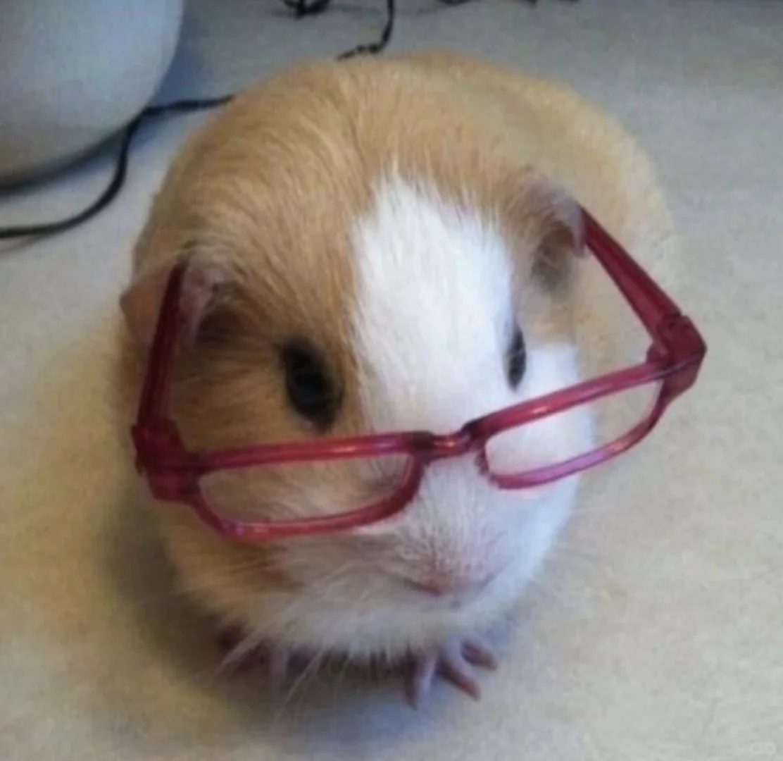 翻到几年前的照片