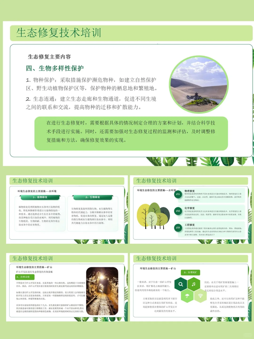 【369】绿色生态修复培训ppt