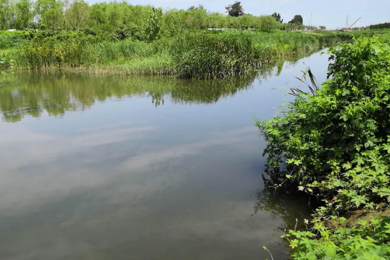 黑臭水体治理内幕：哪些技术只是烧钱的噱头