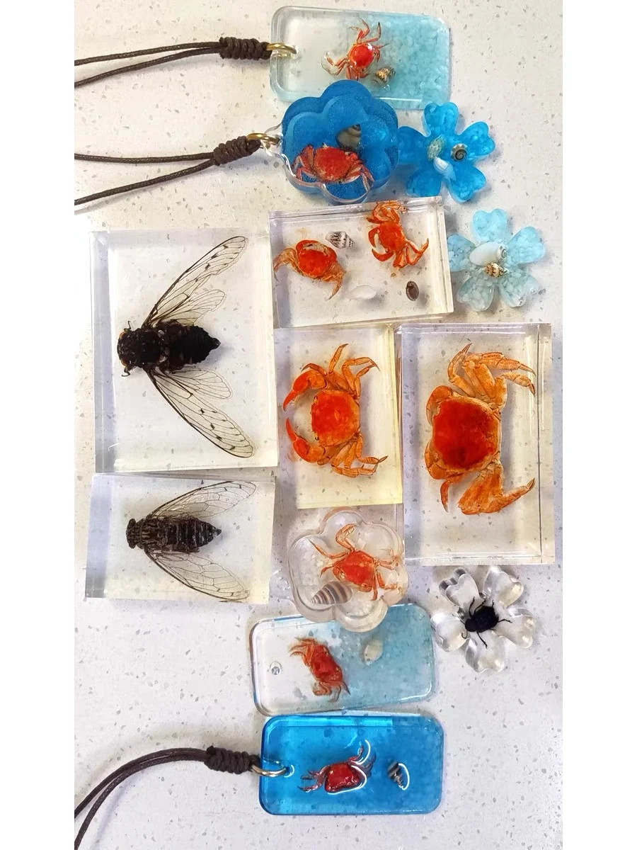 立体滴胶标本制作过程的避坑指南总结!!!