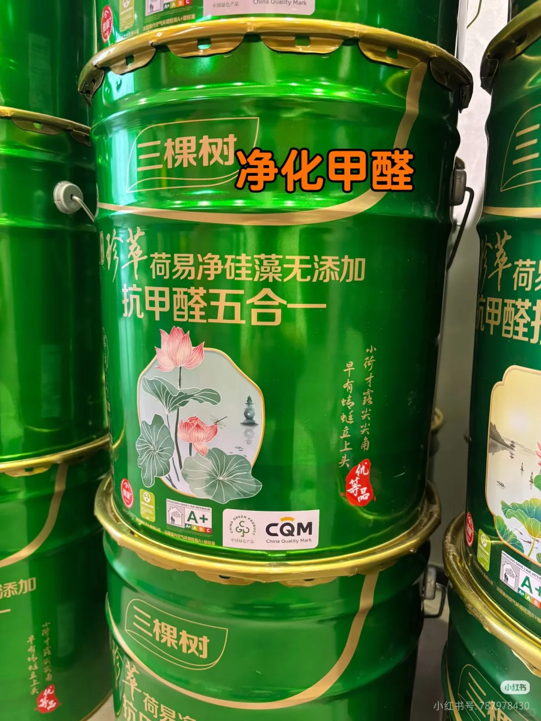 快看❗️三棵树这么多五合一到底有什么区别