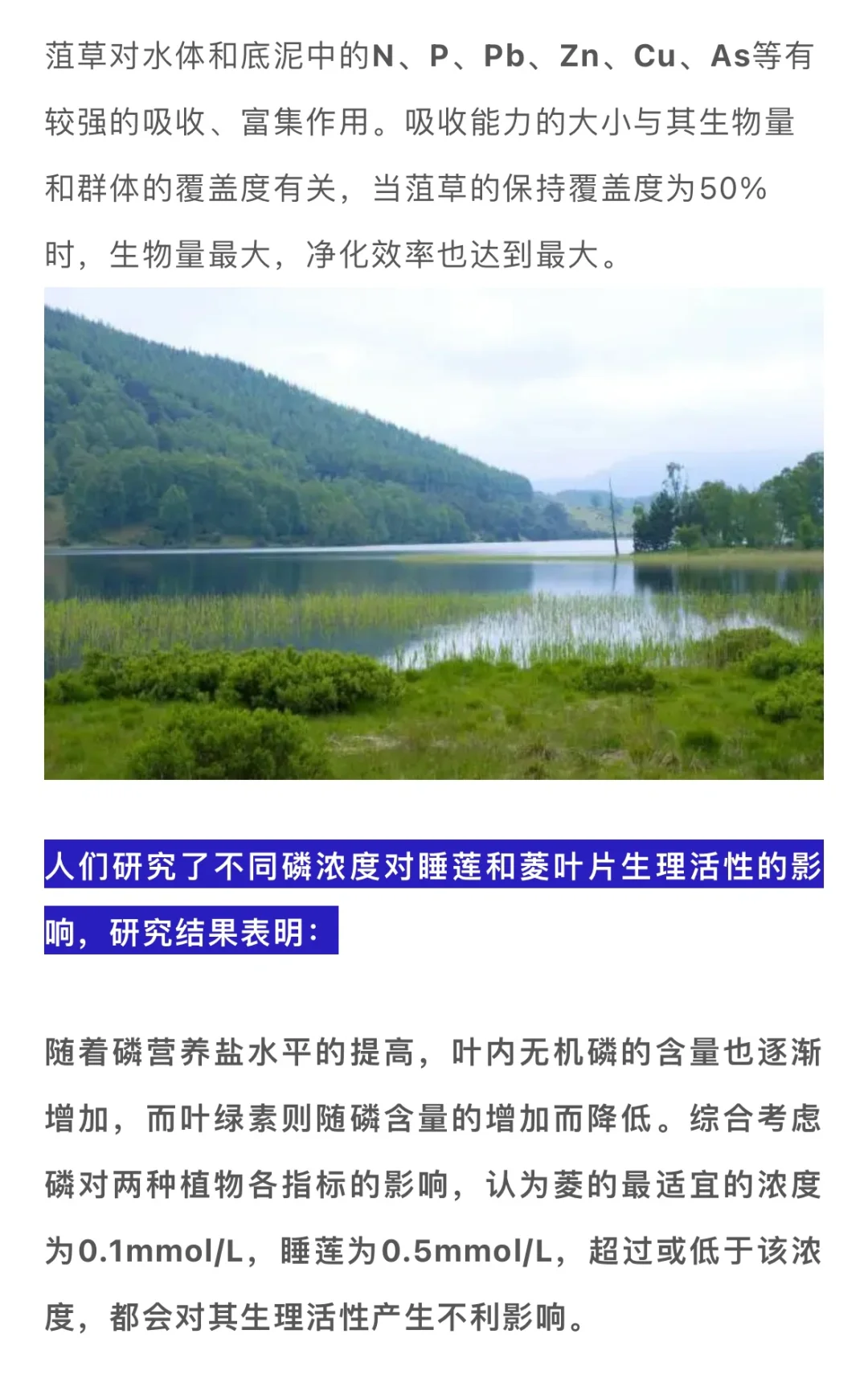 水生植物在水体修复中的妙用……