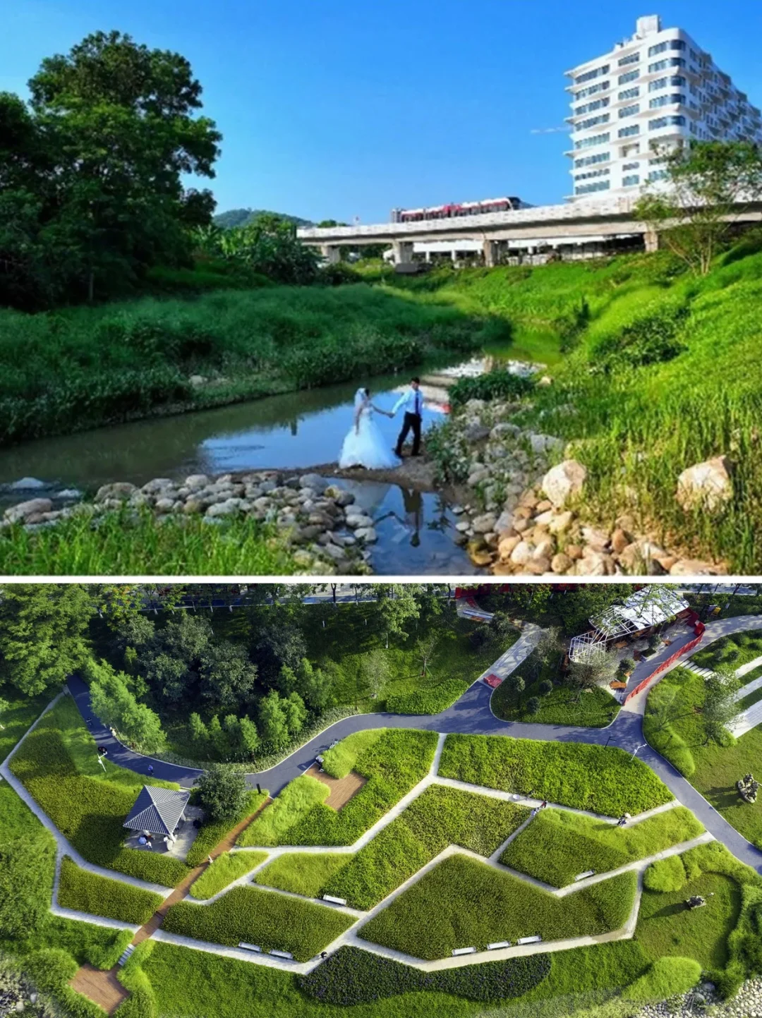 从劣五类水到幸福之河！广州黄埔南岗河更新