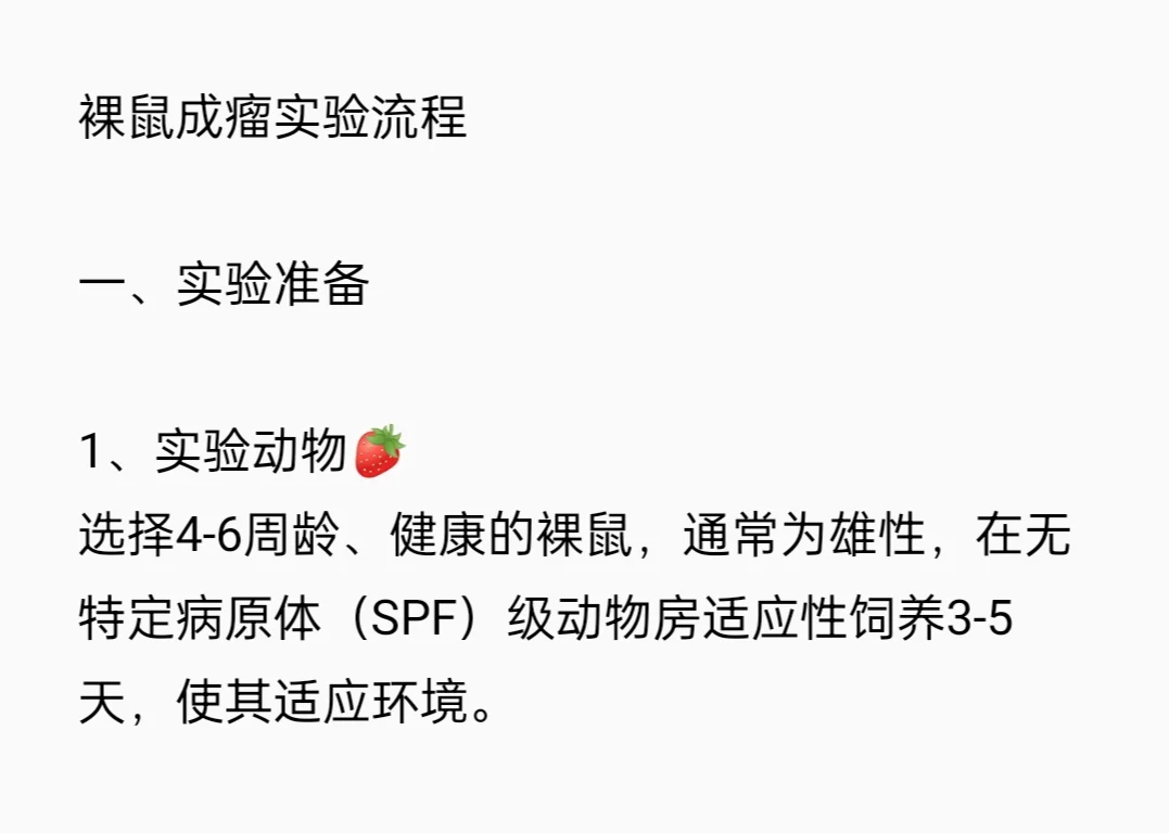 裸鼠成瘤实验流程