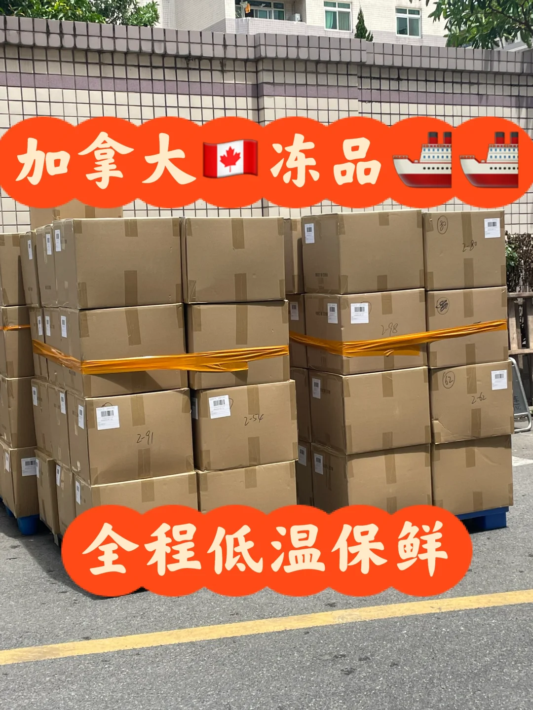 冻品出货??加拿大??-全程低温冷柜