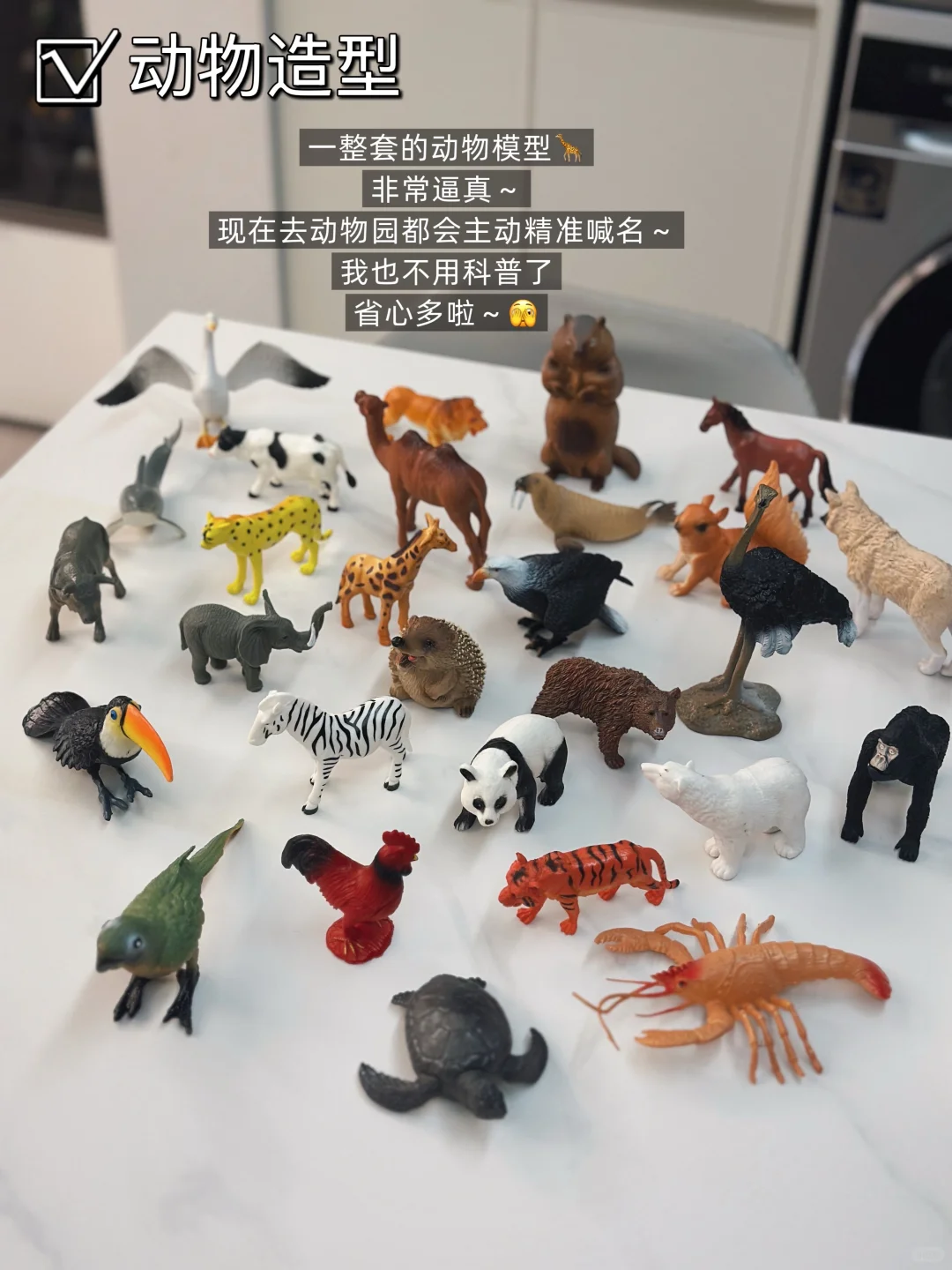 1岁+宝宝益智实用玩具合集? 越玩越聪明❗️