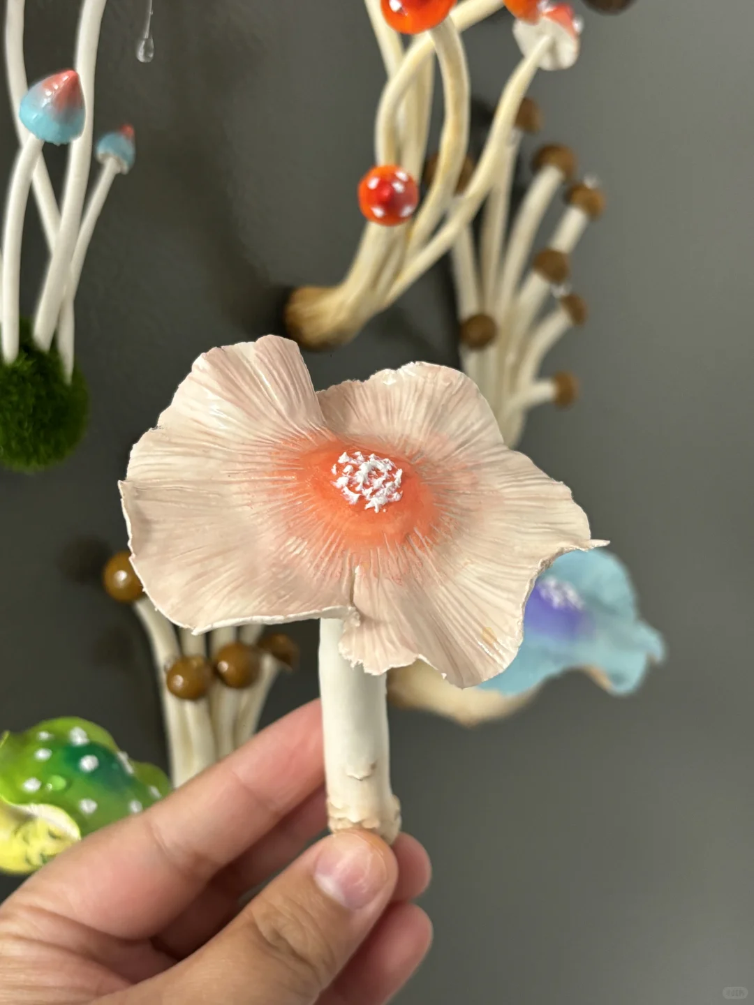 蘑菇蘑菇??冰箱怎么长蘑菇了?(第二弹)