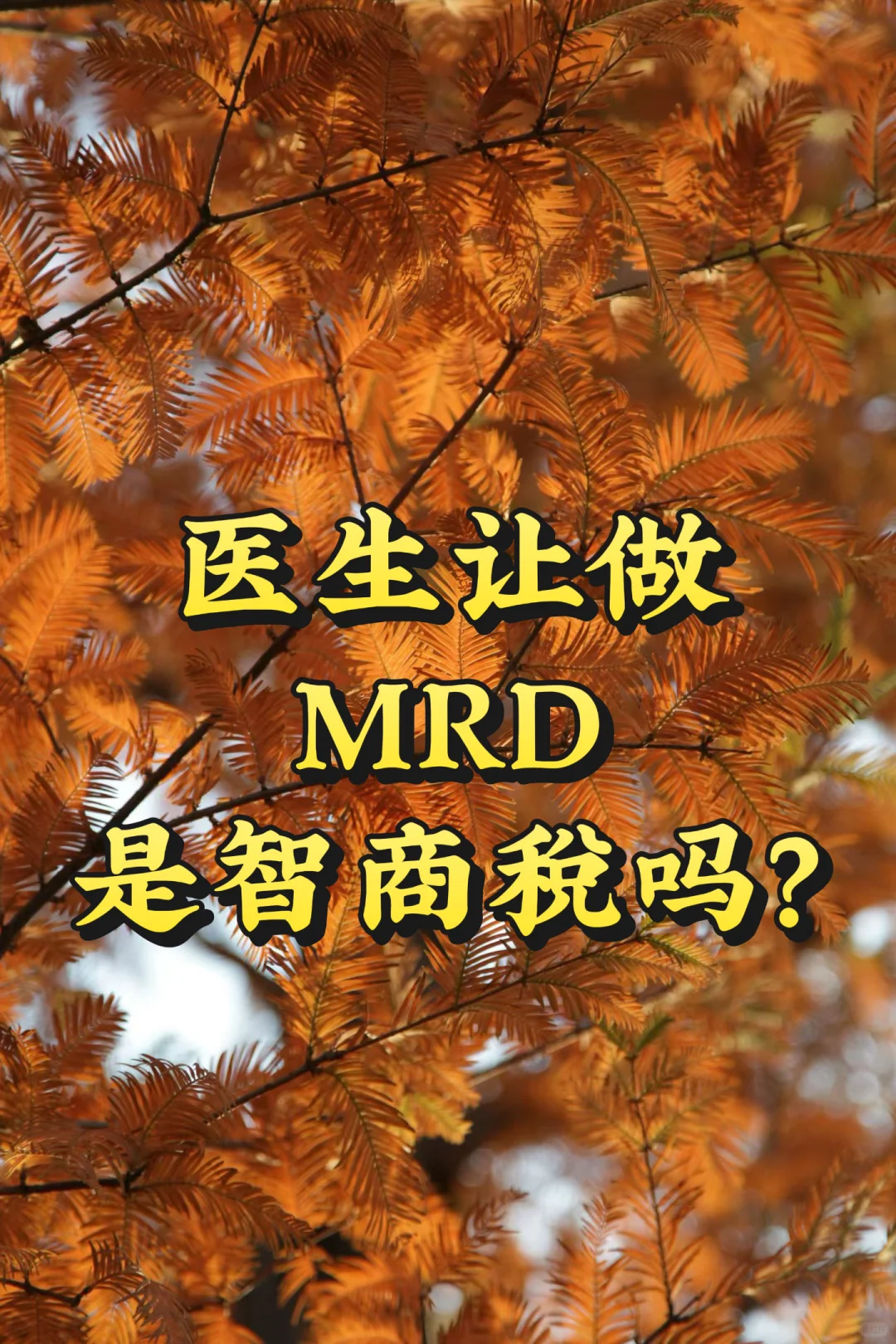 医生让做MRD是智商税吗？