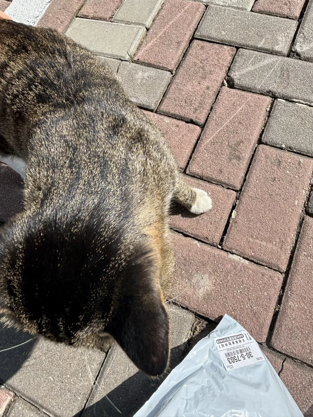 维生素D最充足的一集