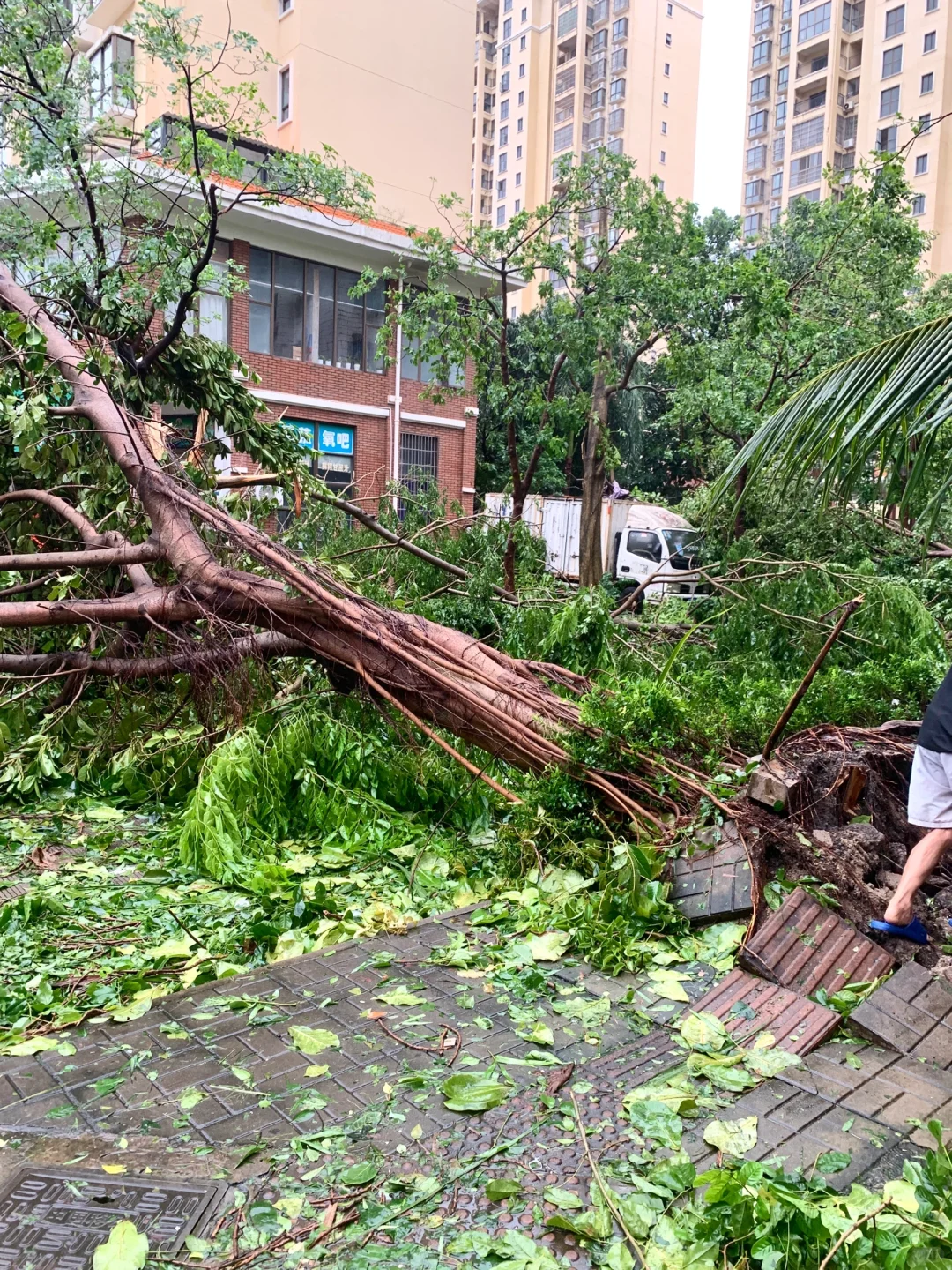 台风“摩羯”后的家?｜断桥铝门窗的重要性