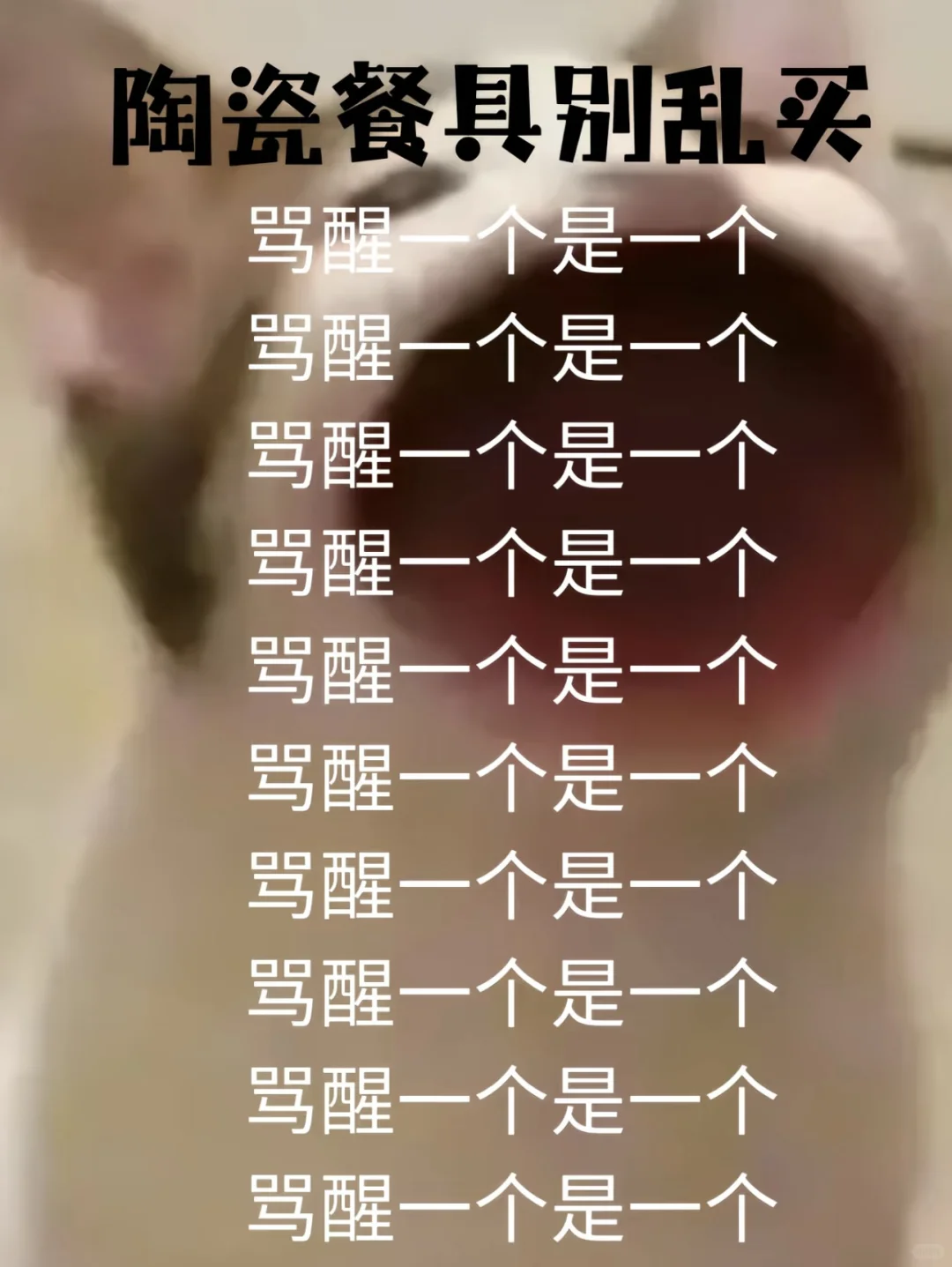 科普篇 丨十年陶瓷餐具卖家吐血级总结‼️