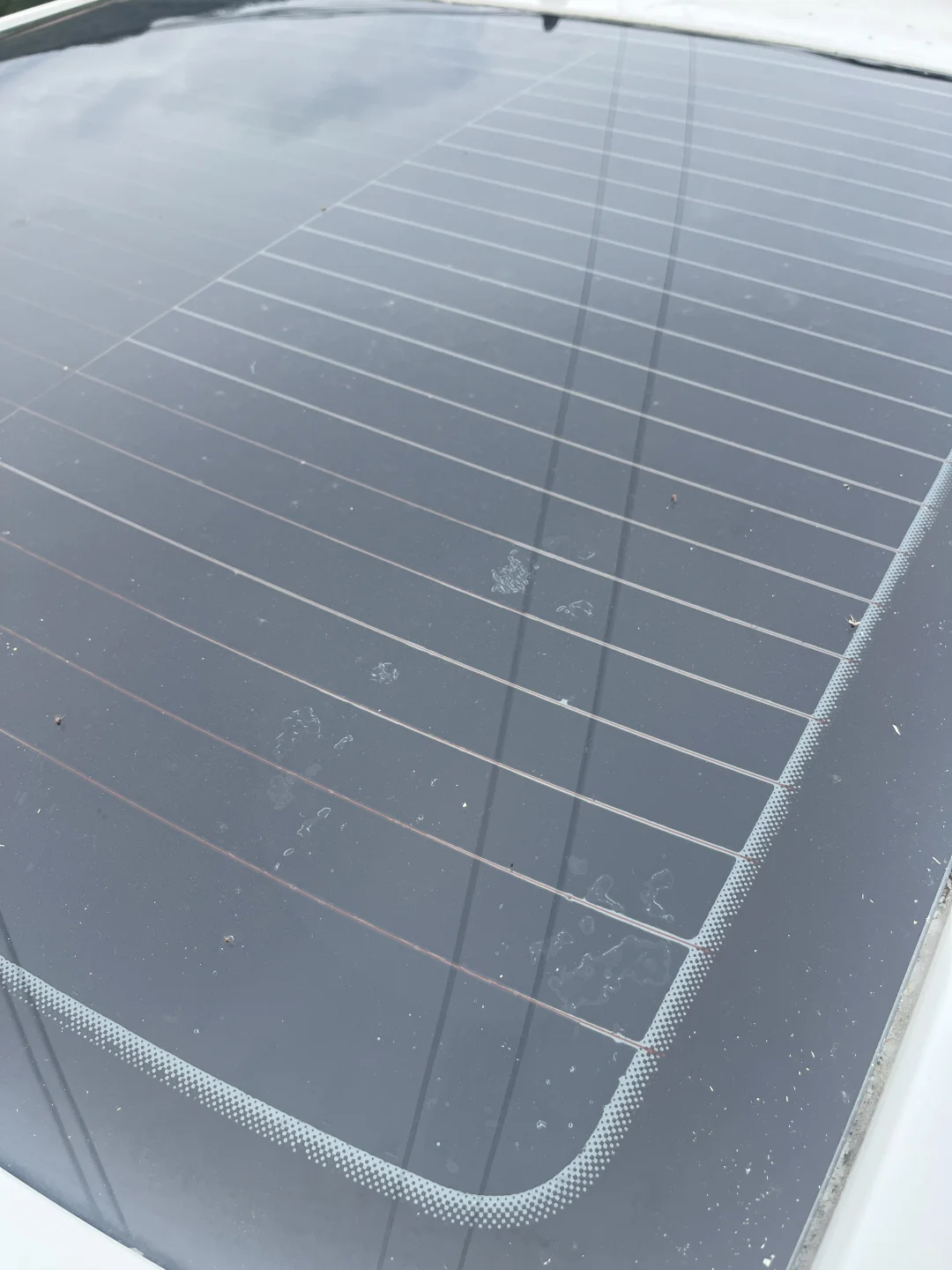 后挡风玻璃昨天贴的，今天就这样了