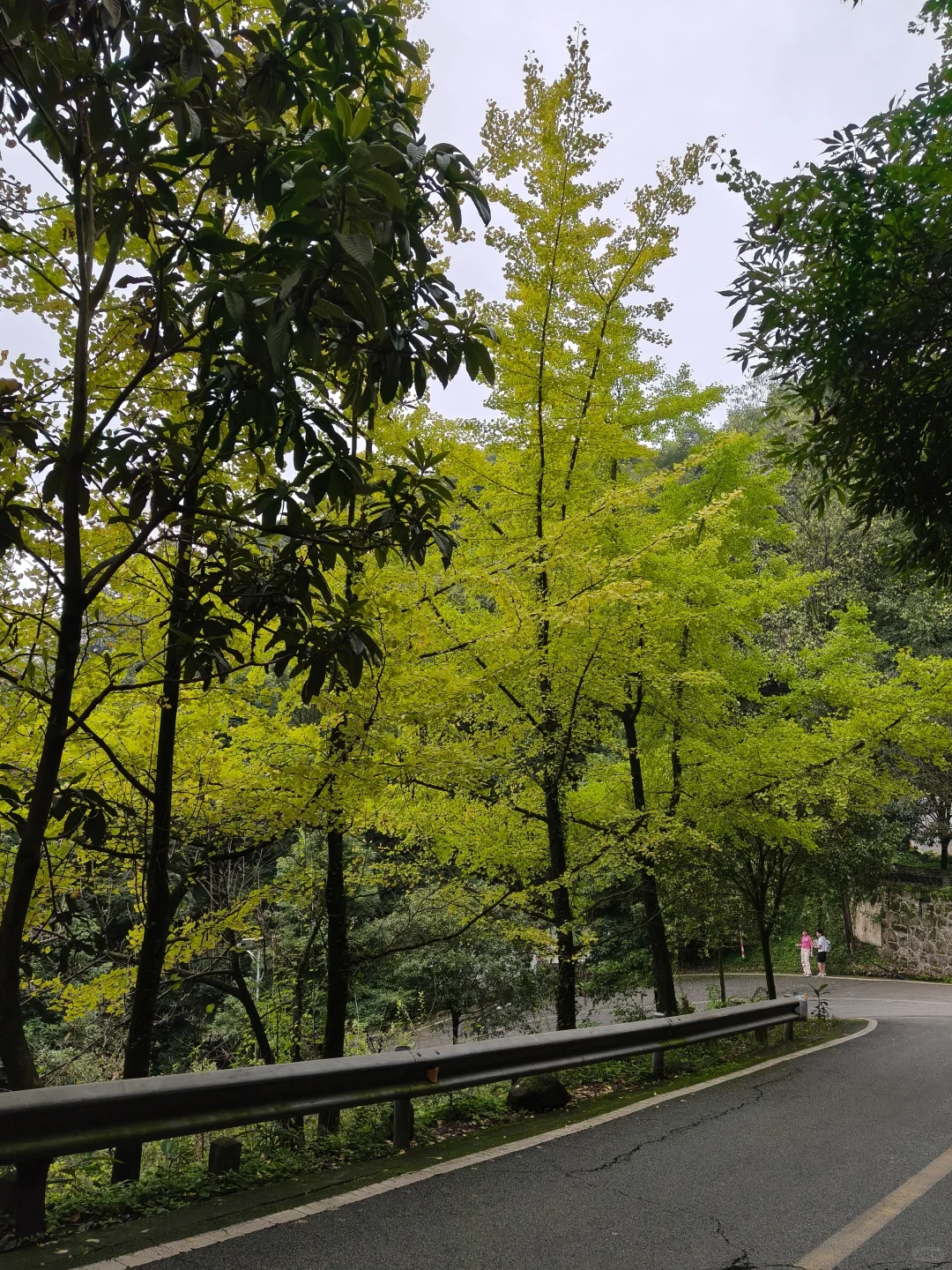 械企免费投放设备并承担科室会议费等被重罚