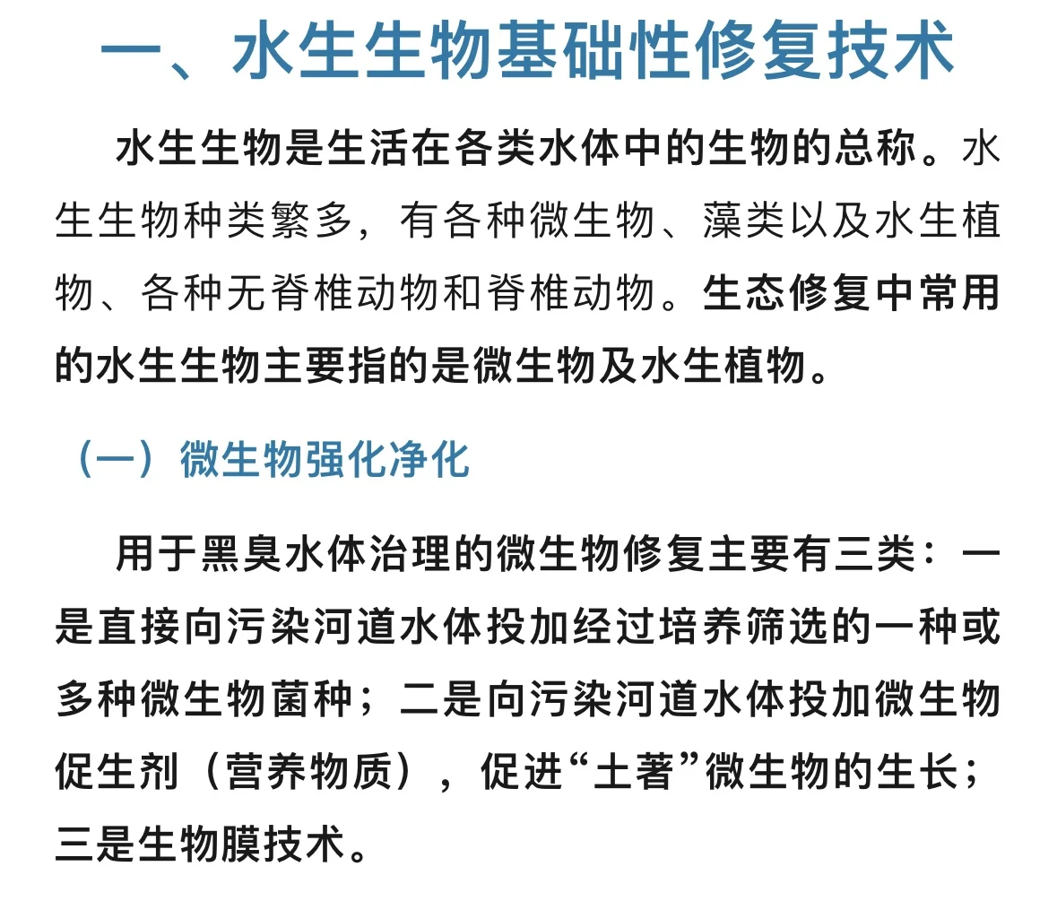 黑臭河道治理技术 ，要点在于生态修复