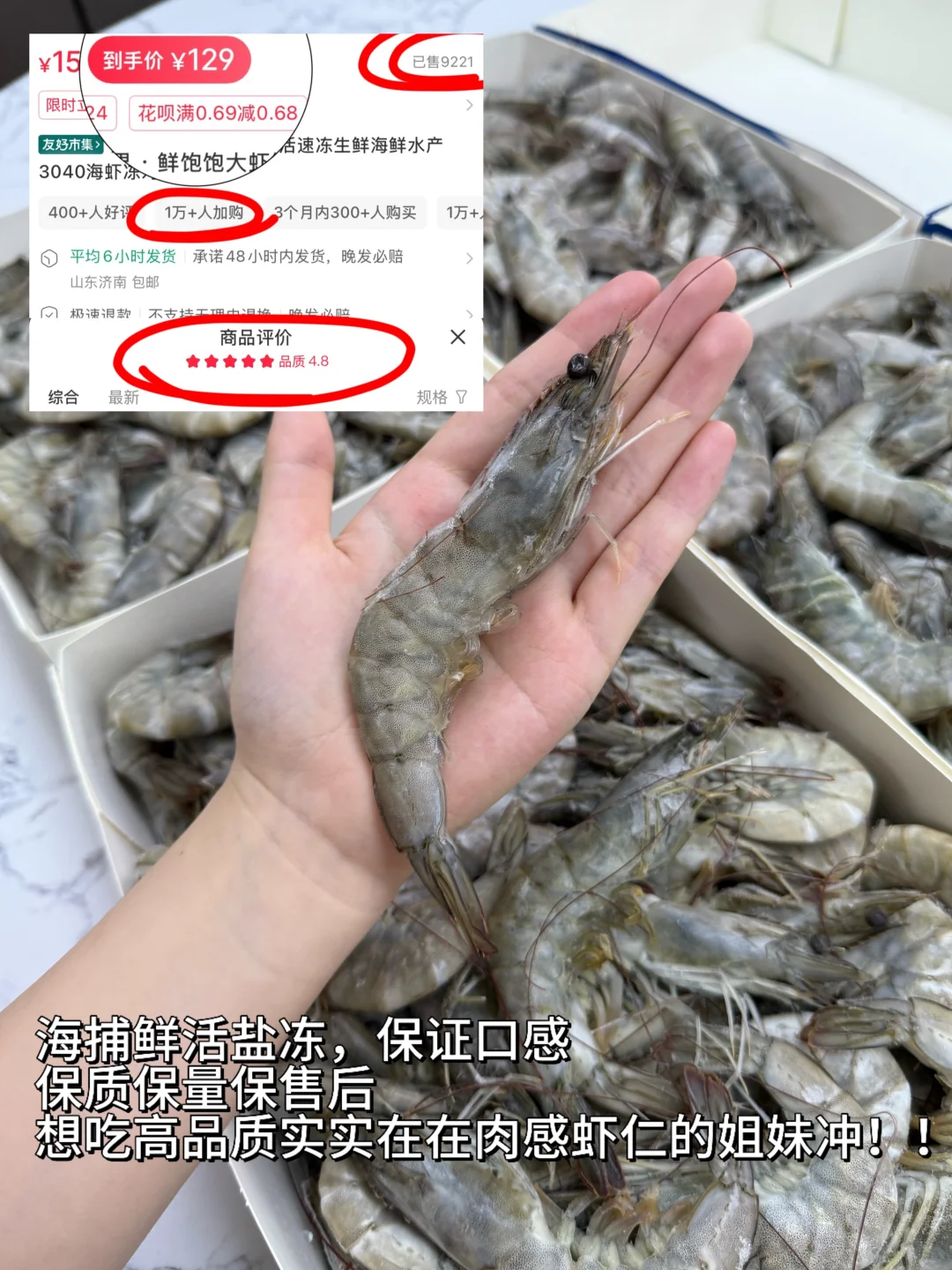 算了不劝了，冻虾真的比活虾更新鲜...