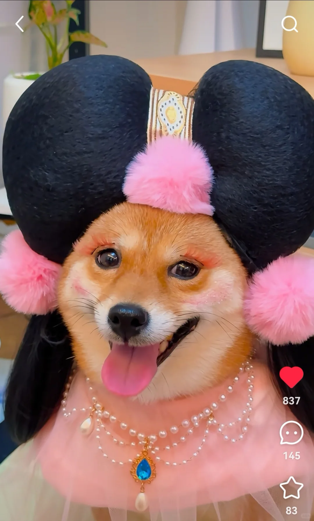 2025年度四川省中小企业特色产业集群认定