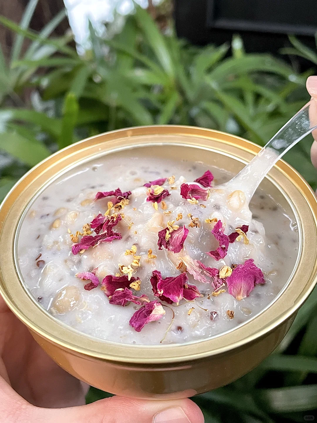 健康美味新宠儿，一口爱上的谷物盛宴?