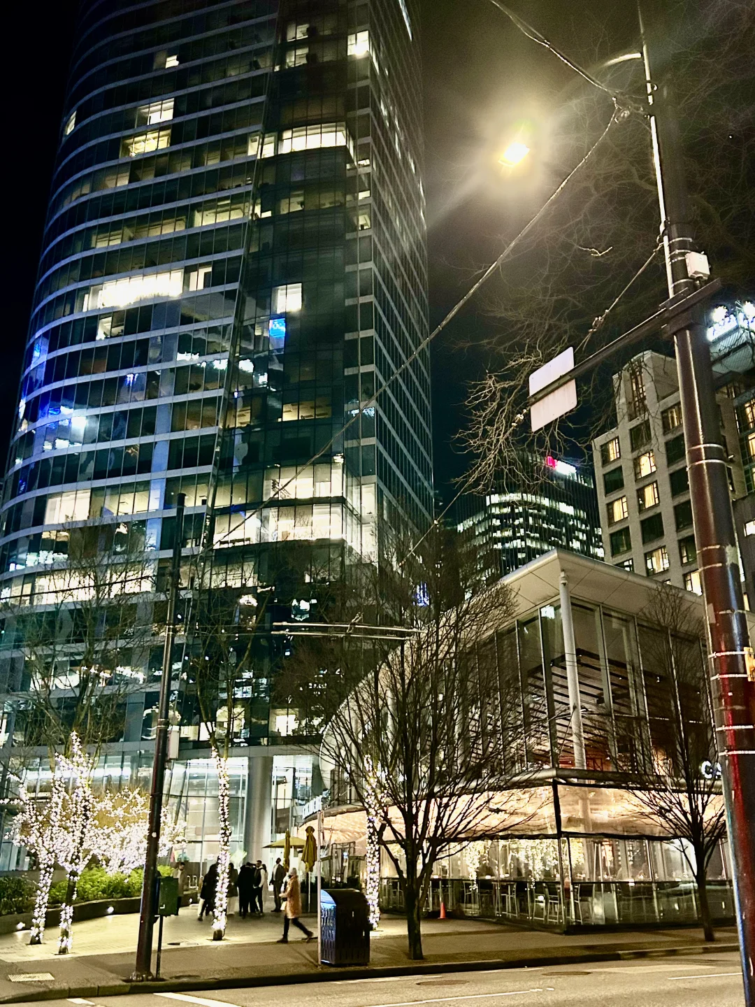 冬日游记:温哥华的“玻璃城”