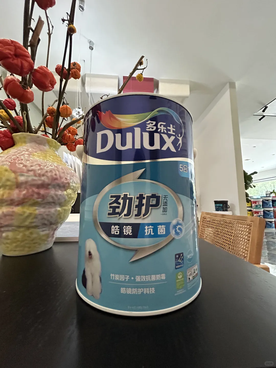 别再误解多乐士劲护皓镜漆啦！