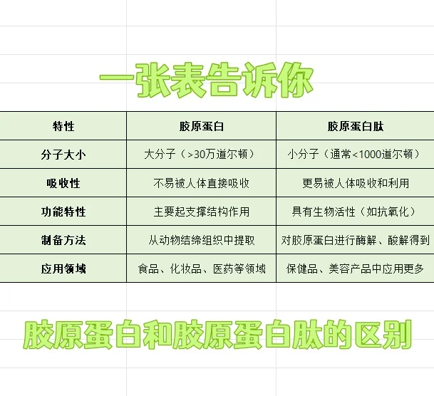 胶原蛋白VS胶原蛋白肽，一篇给你讲清楚！