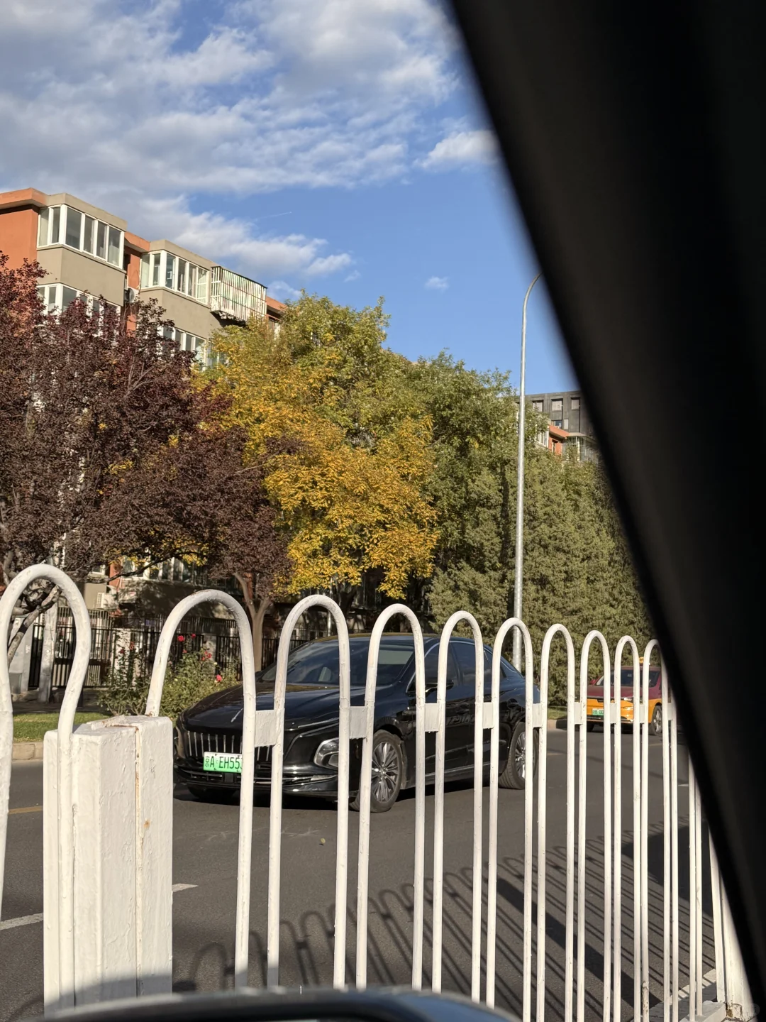 vestup ➕基本单元 =王炸