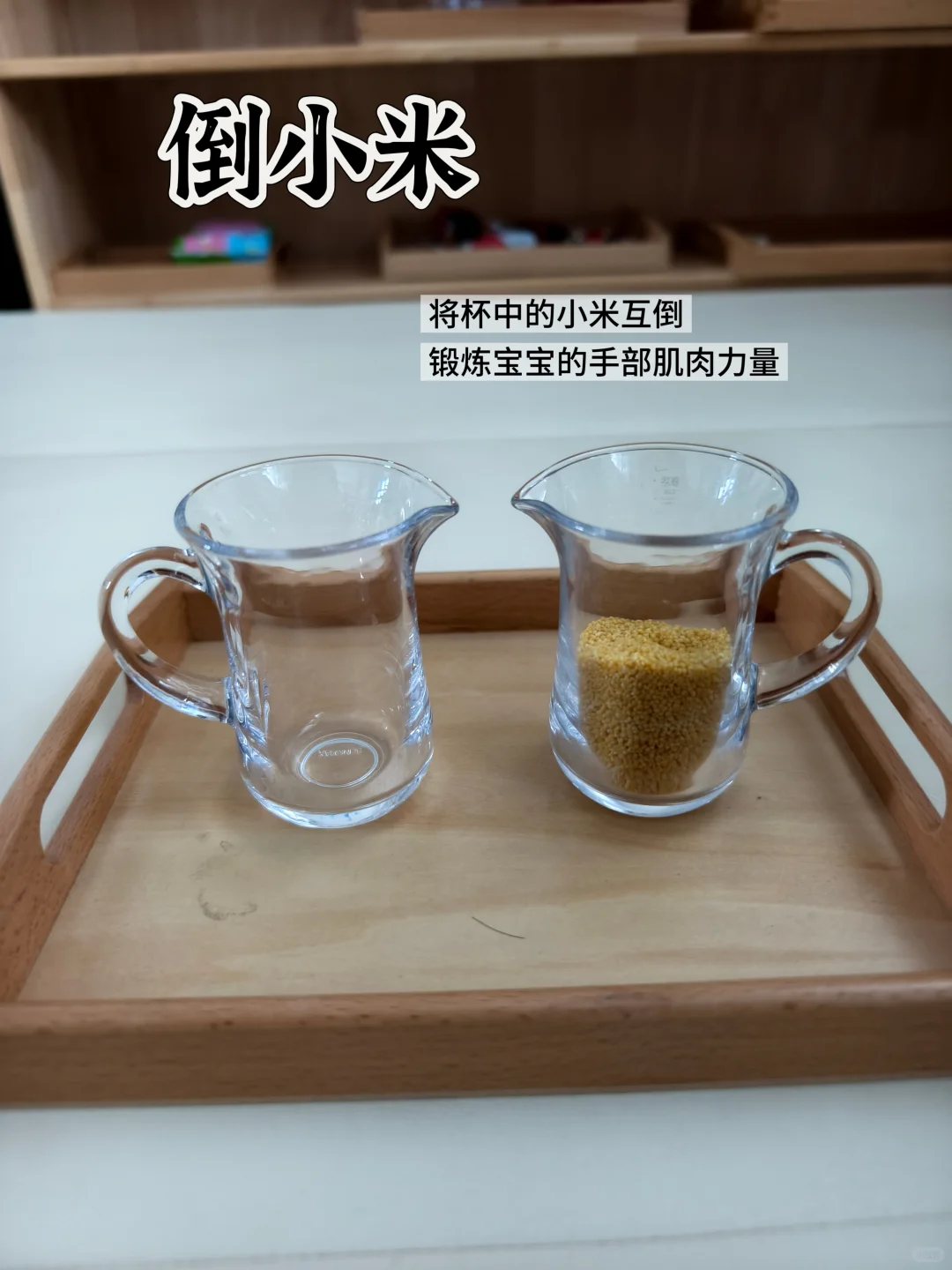 蒙氏早教|21月龄第二周工作|玩具