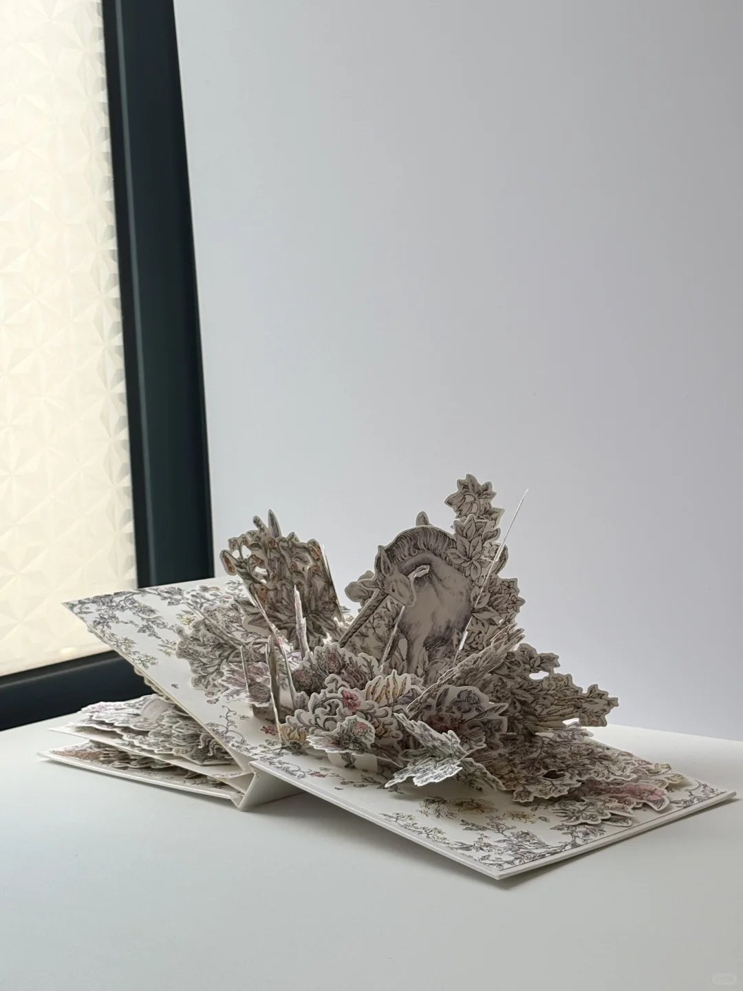 终于收到了这本迪奥立体书