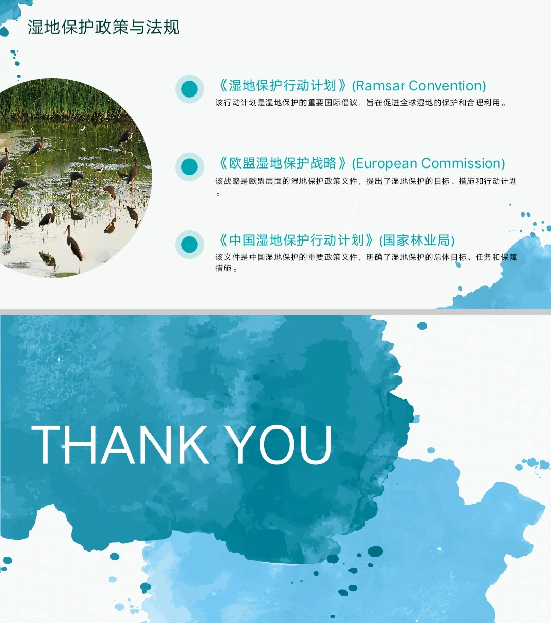 湿地修复ppt
