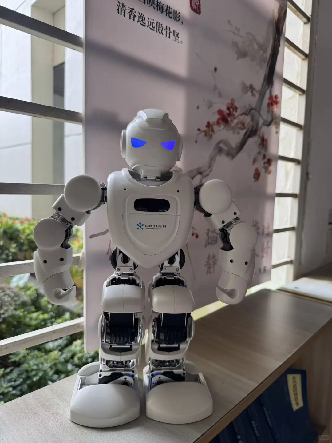 暑期最满意的投资——ebot机器人