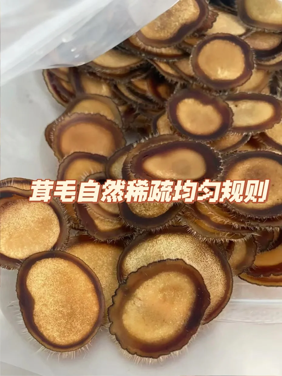 梅花鹿茸和马鹿茸片有什么区别？养殖户分享