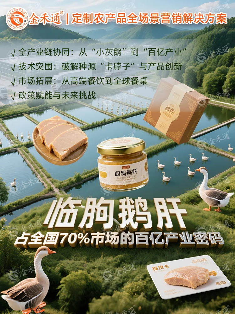 临朐鹅肝:占全国70%市场的百亿产业密码