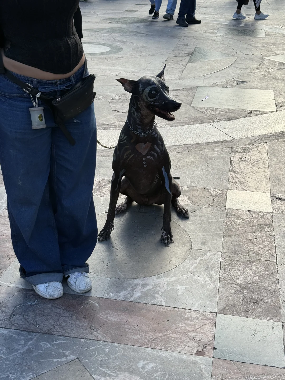 墨西哥城H1B续签DP