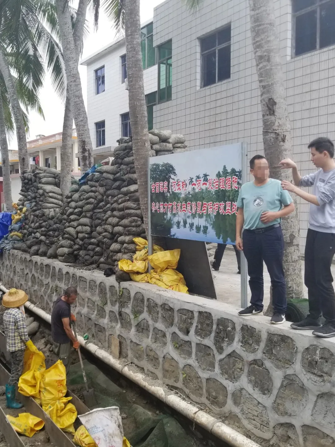 河道治理不踩坑！水质问题对症下药指南