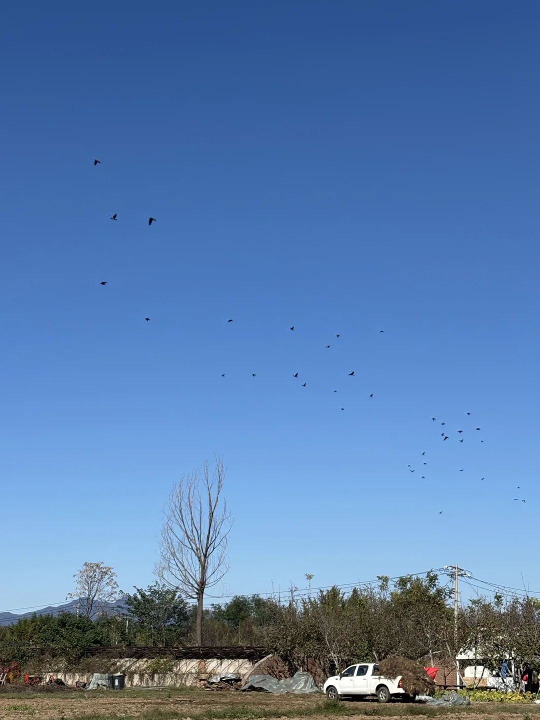 维生素D最充足的一集