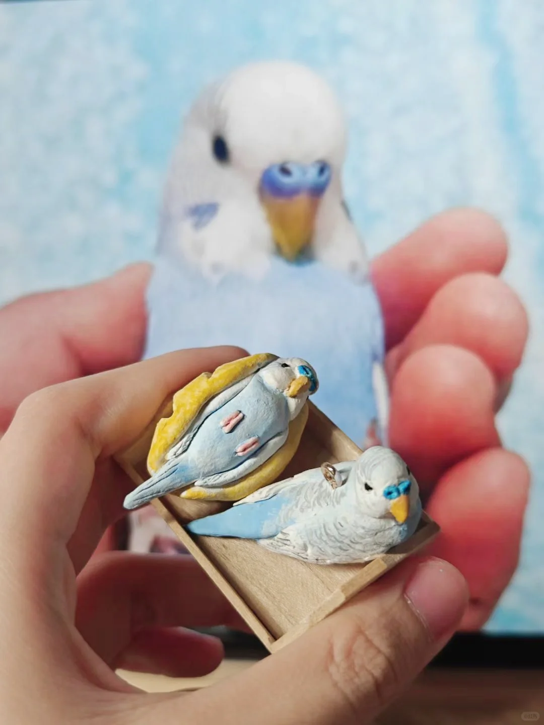 客订展示｜皮皮两只