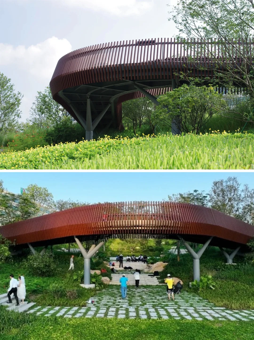 从劣五类水到幸福之河！广州黄埔南岗河更新