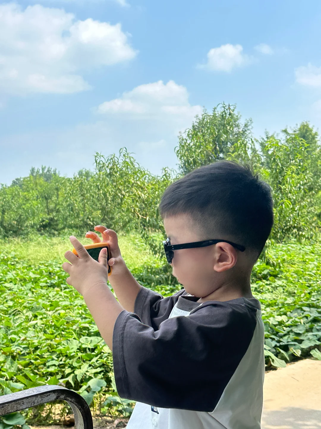 这玩意这么有吸引力？