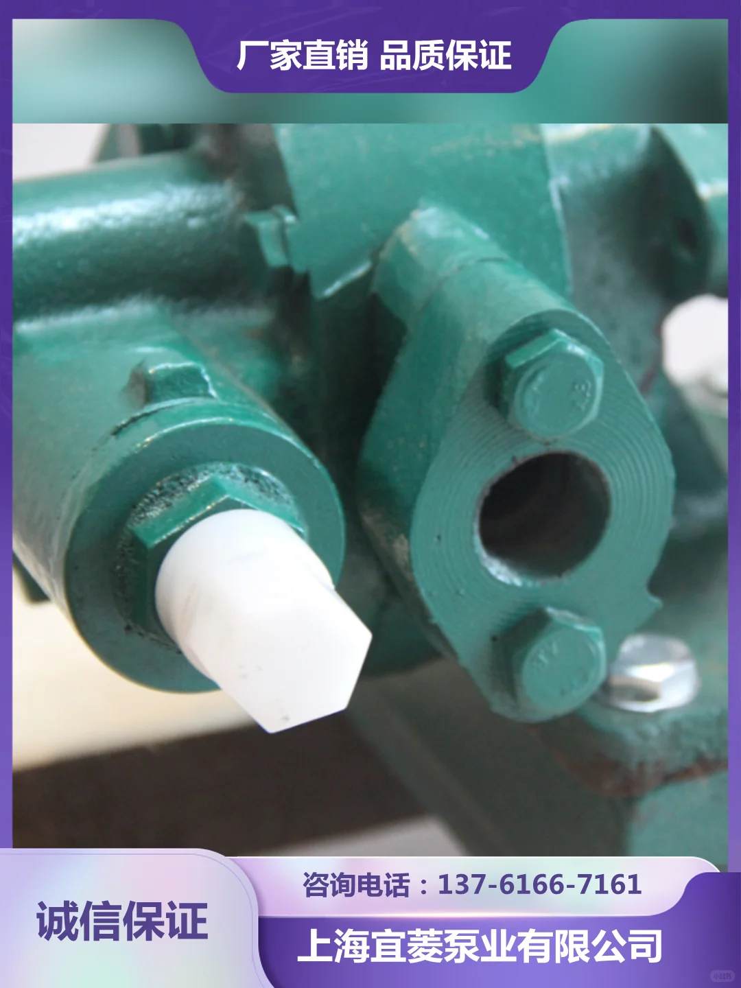 上海隔膜泵厂家