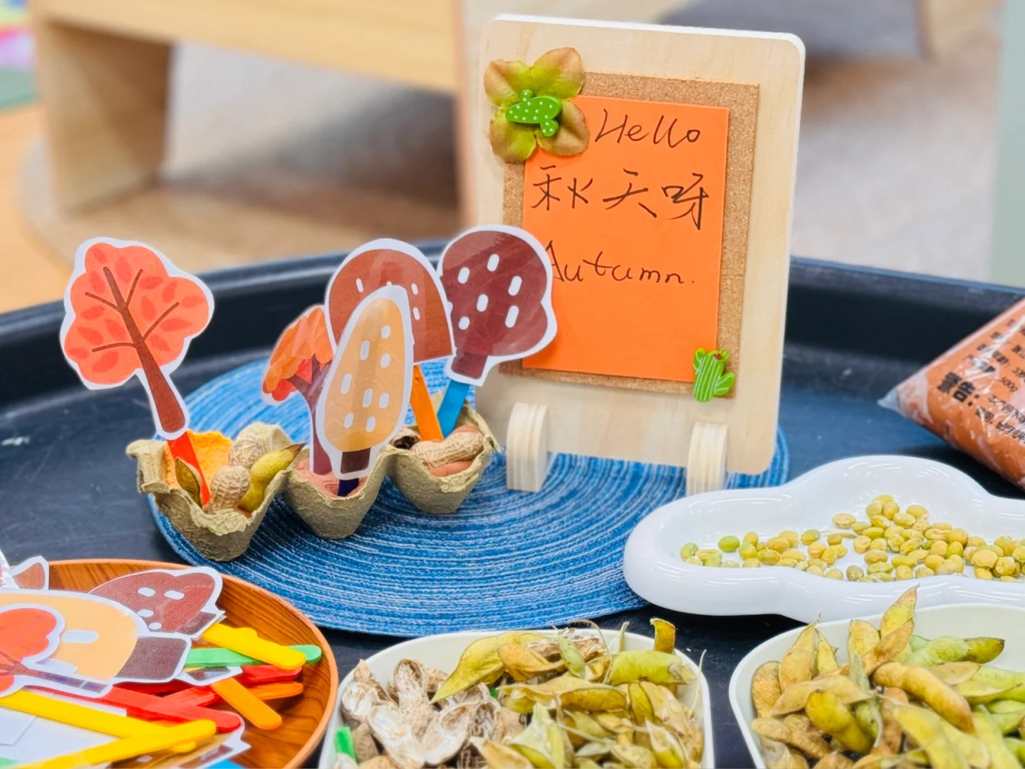 ??秋天的自然物，宝宝最好的玩具！