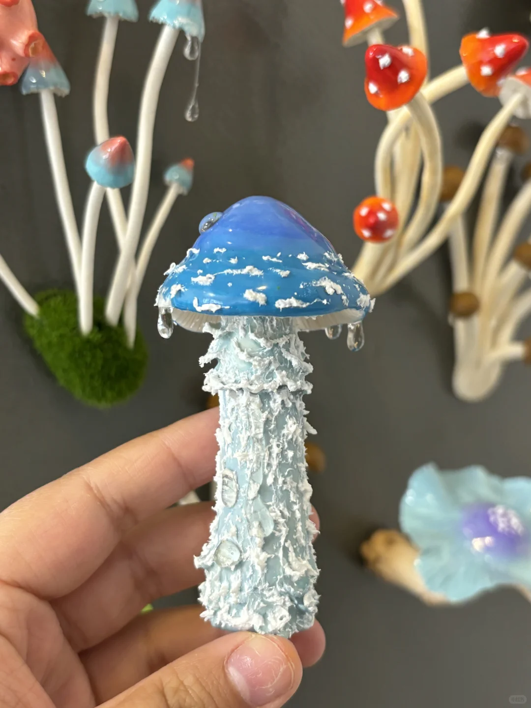 蘑菇蘑菇??冰箱怎么长蘑菇了?(第二弹)