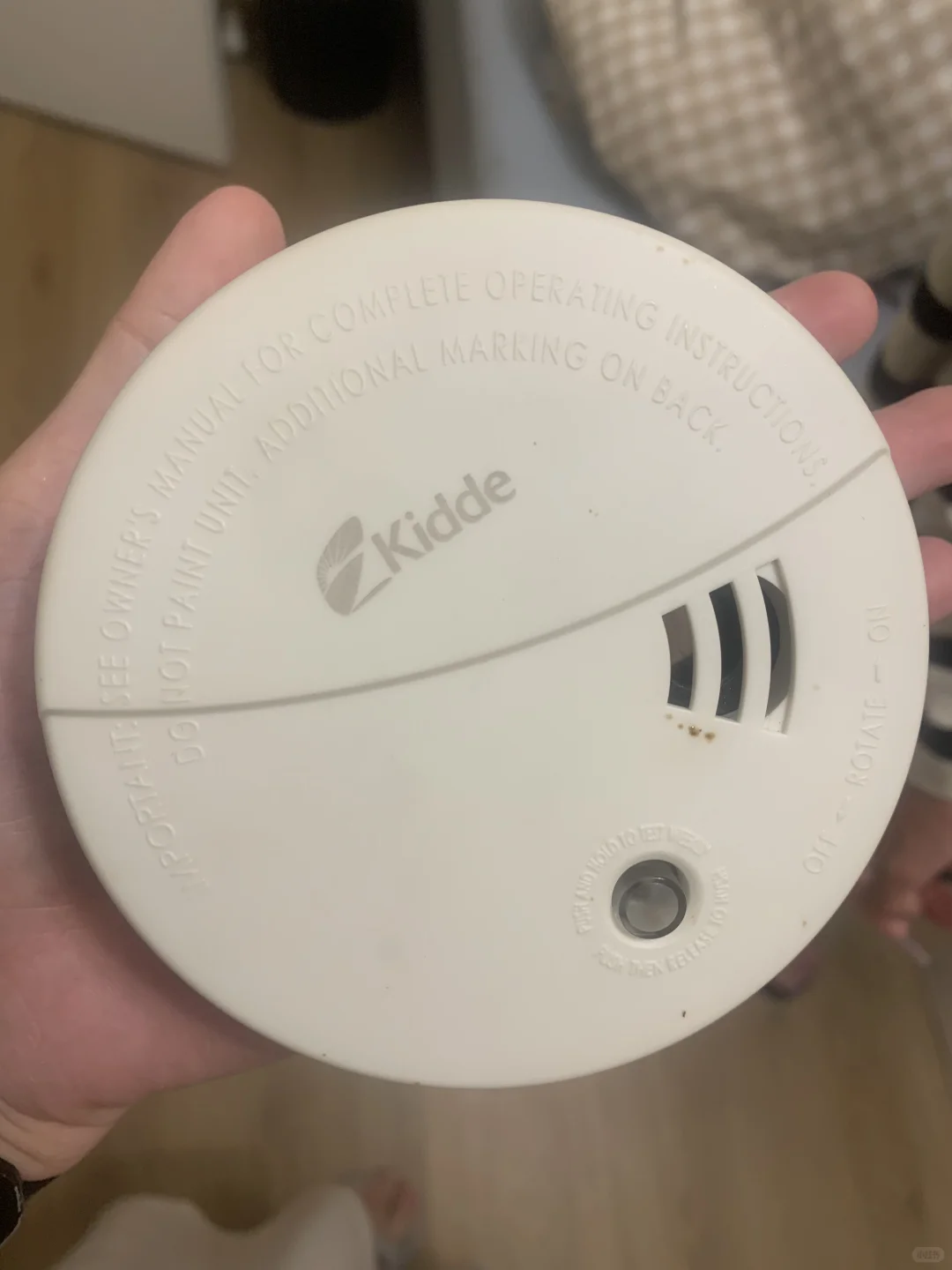 澳版莲花生日蜡烛