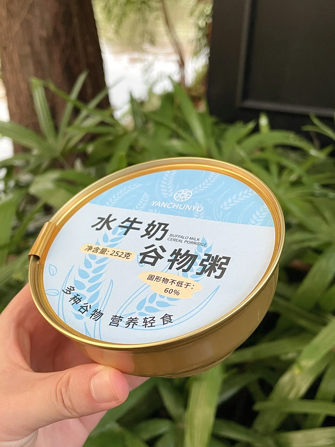 健康美味新宠儿，一口爱上的谷物盛宴?