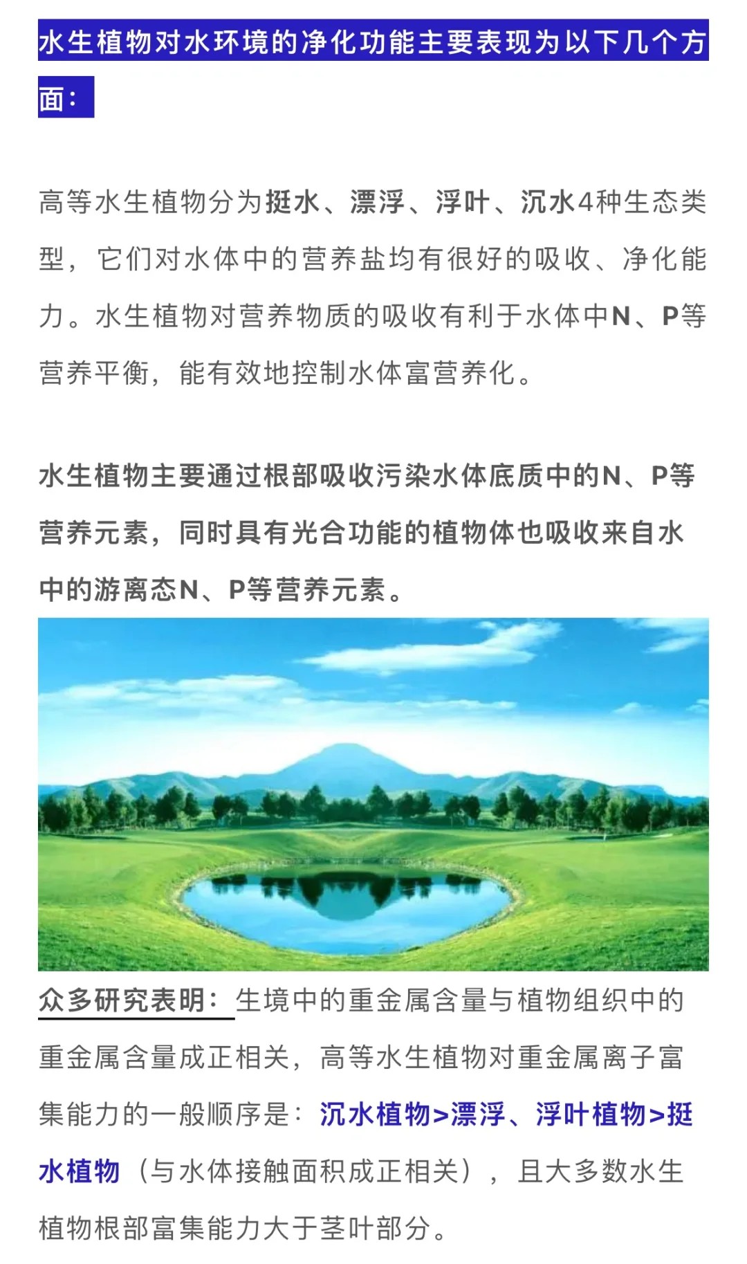 水生植物在水体修复中的妙用……